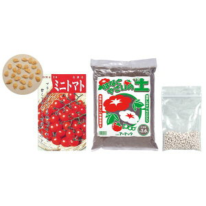 y11/25IIōő100|CgobNzA[ebN ArTec 002760 ~jg}g͔|{Zbg 4521718027609  ̑̑ oYj Əj Mtg LbY j ct wZ