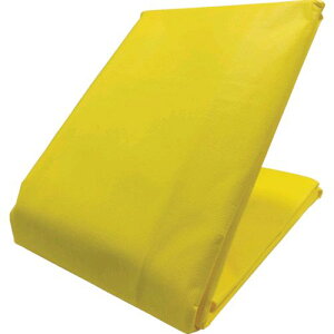 (LINE�N�[�|���L)�y���[�݌ɕi�z�u�����v���^�J���C�N CTS-102 �J���[�g���b�N�V�[�g 1�D8m×2�D1m �C�G���[CTS102 �V�[�g�t���[�� yutaka �y�g���b�N �J���[�g���b�N�V�[�g�C�G���[