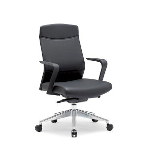 (LINE�N�[�|���L)�y�l��z���s�z�A�C�R AICO RS-2485(VG1)BK ���� ����s�E�����[�J�[�����s�� �I�t�B�X�`�F�A RS�|2400�V���[�Y ���[�o�b�N�^�C�v �w�F�E���^���t�H�[���^BK�A���F�E���^���^