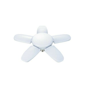 V TAKAGI LL90 BLACK LED瓔PROp ֋