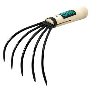 y11/25IIōő100|CgobNz 4941019310291 ؕEҌF J7|01yLZsz