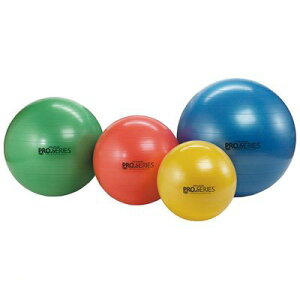 y11/25IIōő100|CgobNz4985972054069 DM SDS45 SDSGNTTCY{[45  CG[ Zoh oX{[ vV[Y fB[AhG BALL EXERCISE tBbglX