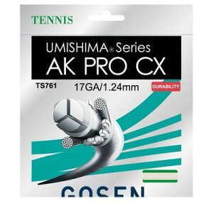 (LINE�N�[�|���L)4906365086450 �S�|�Z�� TS761 �E�~�V�}AKPROCX17 �i�`������ GOSEN �S�[�Z�� �v�� �K�b�g UMISHIMA �e�j�X �e�j�X�K�b�g