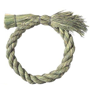 yԁEzyʌɂA؂̍ۂ͂z PANA8542 y10z15cmaߓ