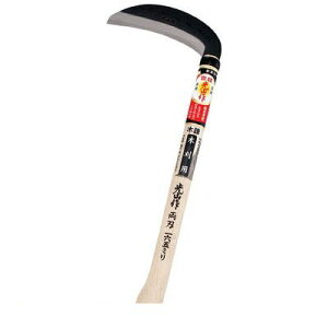 y[݌ɕizuvL HT0805 R ڗ L HOUNEN LR Rڗ |  G 抙  |pi _ƁyLZsz