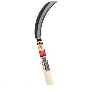 y[݌ɕizuvL HT0867 Rǖڋp L HOUNEN LR |  G 抙  |pi _ƁyLZsz