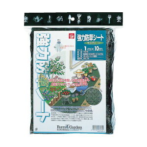 y[݌ɕizuvL{V 4951167676750 ͖hV[g XO[ GS KINBOSHI K[fjO _ _ H  |  S[fX^[