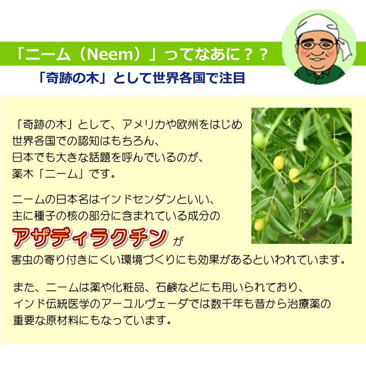 ランキングtop10 安心 安全で効果抜群のニームケーキ ニームエース 1 2kg 3袋セット ニーム 肥料 家庭菜園 ガーデニング 農業 野菜 有機 肥料 虫対策 Discoversvg Com