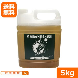 ijz̍PC_]wbij5kgx []_ PC_] t̔엿 ʗvf tʎUz 300{ זE i イ͔| C`S͔| J{` | ƒ؉ 