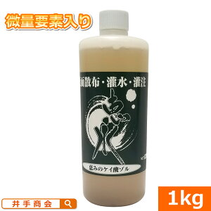 z̍PC_]wbij1kgx []_ PC_] t̔엿 ʗvf tʎUz 300{ זE i イ͔| C`S͔| J{` | ƒ؉ K[fjO 