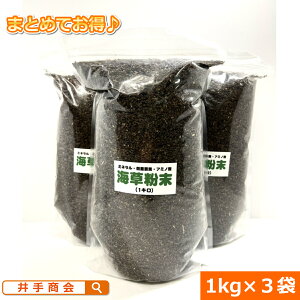 �C�������u�C���~�[���v�i1kg�j3�܃Z�b�g [�C������ �A���M���_ �~�l���� ���ʗv�f �A�~�m�_ �r�^�~�� �t�R�C�_�� ���~�i���� ������ �z���_���� ���瑣�i �������i �A���Q�y�� ���ʑ��� 