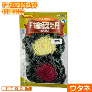 F1kɗtO@Iij[ƒ؉  tO K[fjO Ԓd A ӏ]