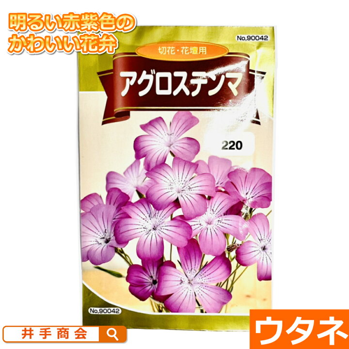 楽天市場 アグロステンマ なでしこ科 種 ウタネ ガーデニング 種 種子 園芸 切花 花壇 ナデシコ プロ農業 家庭菜園のお店 井手商会