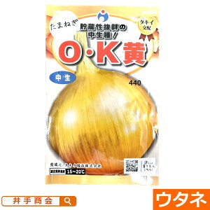 OEKi܂˂j(FE^l)[ʂ˂ ʔK ƒ؉  q ^}lM]