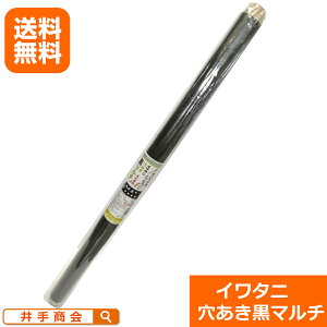 yz@}`iEgERVji95cmx50mj@m_Ɨp}`][K[fjOG |pi | }`]