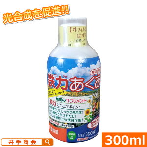 S̓ANAi300mlj[SCI S 2S A ʗvf⋋ ~l 1000{ tʎUz i 董i tΑ̂𑝉 ċz@\ ƒ؉ K[fjO | Ԓd v