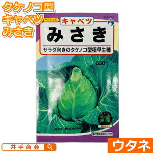 Lxc@݂×i:E^lj[Lxc ƒ؉ q ]