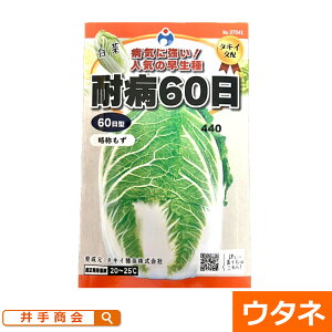 ϕa60(؁j@i:E^lj[nNTC ƒ؉ q  ]