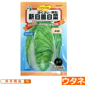 VP(͂ji:E^lj[nNTC  ƒ؉ q ]