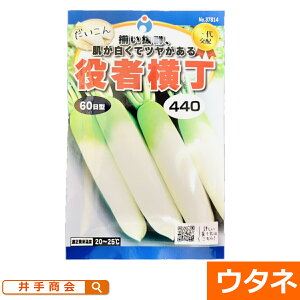 ҉(60^)ij@i:E^lj[_CR q  ƒ؉ 卪]