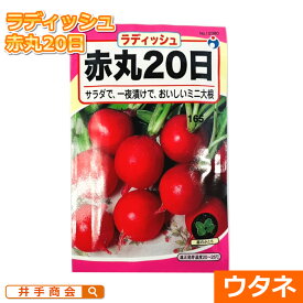 赤丸20日大根（だいこん）ラディッシュ（種:ウタネ）[ダイコン 種子 種 家庭菜園 大根]