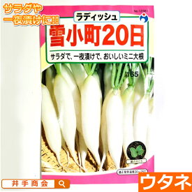 雪小町20日大根　ラディッシュ（だいこん）（種:ウタネ）[ラディッシュ 大根 種 家庭菜園 種子]