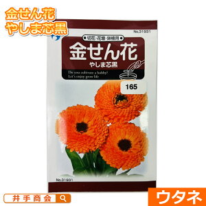 ԁi₵ܐcji:E^lj[K[fjO | q ]