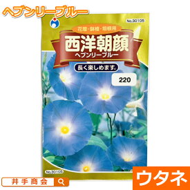 西洋朝顔（ヘブンリーブルー）（種:ウタネ）[ガーデニング 園芸 朝顔 種子 アサガオ 種 緑のカーテン グリーンカーテン 日よけ対策]