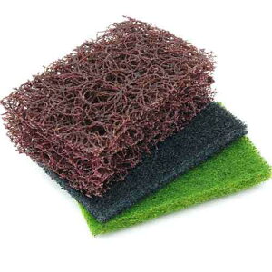 ylCizSK11EhOnZbgBSHp