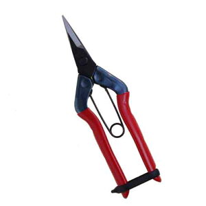 �y�l�C���i�z�`�J�}�T�E�E����