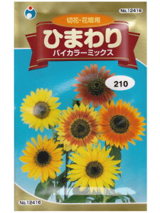 ひまわり 種の人気商品 通販 価格比較 価格 Com