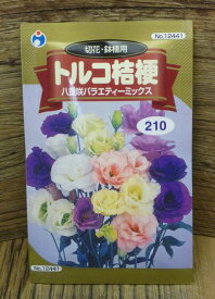 楽天市場 トルコキキョウ 八重の通販