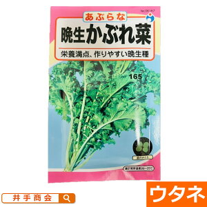 ӐԂ؁i:E^lj[ ƒ؉ q]