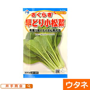 炬 ǂ菬 ܂ȁi:E^lj[܂  ƒ؉ q ]