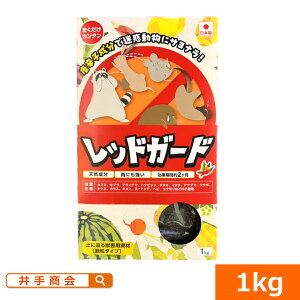 yɊ҂bQpށ@upp܂̃bhK[hv(1kg)[K[fjOG |pi ƒ؉]