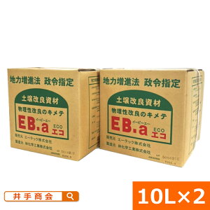 �i���������j�y��c�������ށwEB-a�G�R�i10Lx2�Z�b�g�j�x[�S�y �˂�� �S�y�� �r�� ���͂� �ې� �엿 �۔� �ʋC�� ���P �� ���S �Ő� �y����� �y����ǎ��� �t�� 2���� 20a 20�A�[�� 600�� ���| 