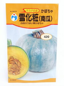 楽天市場 かぼちゃ 雪化粧の通販