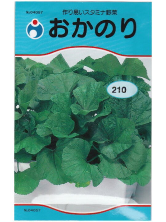 楽天市場 おかのり 種 ウタネ 種 家庭菜園 種子 プロ農業 家庭菜園のお店 井手商会
