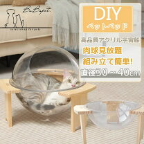 楽天市場】宇宙船 猫 ハウスの通販