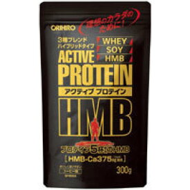 ORIHIRO アクティブプロテインHMB 300g　ソイプロテイン＋ホエイプロテイン コーヒー味 ビタミン ミネラル配合 理想のカラダの為に 美味しく飲みやすい オリヒロ orihiro プロテイン5杯相当のHMB