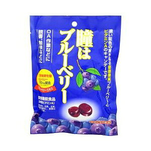 ブルーベリー 100g キャンディー キャラメルの人気商品 通販 価格比較 価格 Com