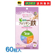 【 送料無料 】 ユニマットリケン 植物由来のフェリチン 鉄 + 葉酸 60粒 20日分 ポスト投函 妊娠 妊活 妊…