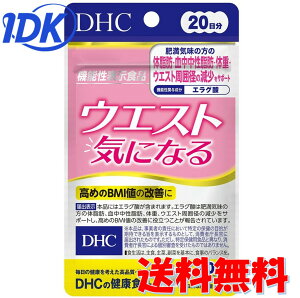 DHC EGXgCɂȂ 40 20 @\\Hi GO_ _CGbg Tv Tvg fB[GC`V[ yz