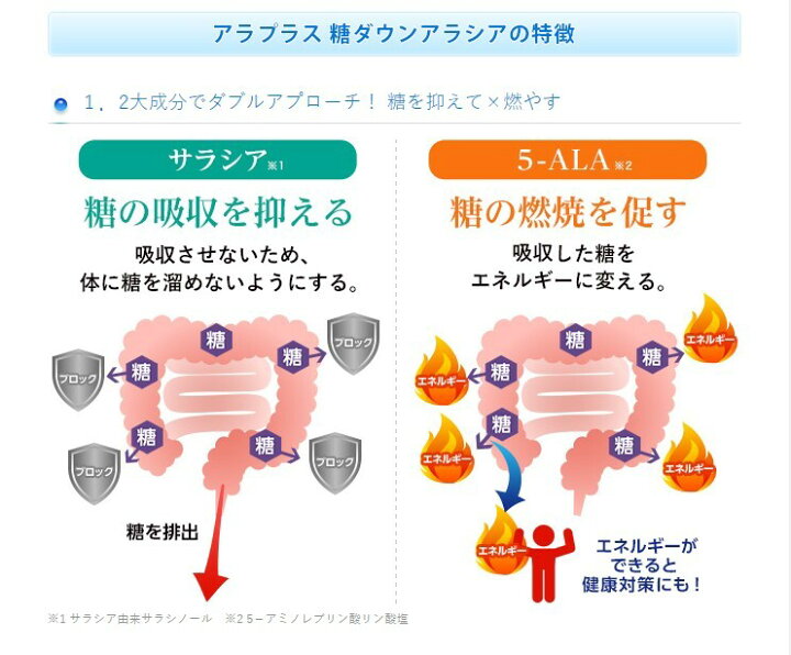 楽天市場】アラプラス 糖ダウン アラシア 10日分 【送料無料】 機能性 