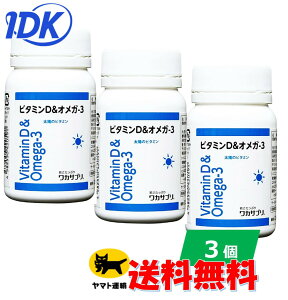 �y3�Z�b�g�z�y���J�T�v���z �r�^�~��D���I���K-3 60�� 2�������r�^�~��D �I���K3 ���b�_ �T�[�����I�C�� ���z�� ���S�� �T�v�� �T�v�������g ���q�������w������ �t�W�e�b�N�X 1��1���y����