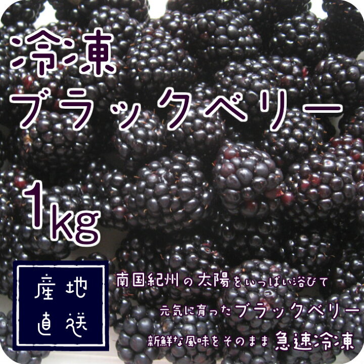 楽天市場 冷凍 ブラックベリー トリプルクラウン １ｋｇ ５００ｇ ２パック 国産 和歌山県産 自家栽培 完熟 冷凍果実 冷凍デザート 冷凍フルーツ スムージー アサイー Blackberry トリプルクラウン果実 井戸園芸オンラインショップ