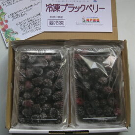 冷凍 ブラックベリー （トリプルクラウン）1箱（400g×2パック） 国産 和歌山県産 自家栽培 完熟 冷凍果実 冷凍デザート 冷凍フルーツ スムージー アサイー Blackberry　トリプルクラウン果実