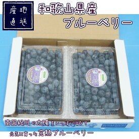 完熟大粒ラビットアイブルーベリー（Lサイズ～）　　完熟 生果　国産　和歌山県産　400g×2パック　フレッシュブルーベリー
