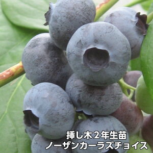 ym[UJ[Y`CXz u[x[ } c 2N m[UnCubVni ʎc