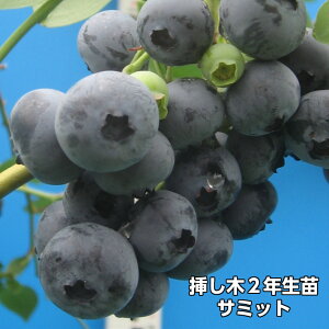 T~bg u[x[ } c 2N 10{Zbg TUnCubVni ʎc
